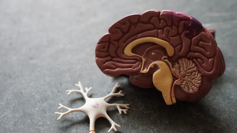 Medical education wide